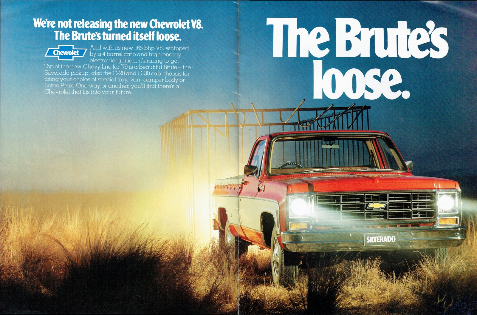 n_1979 Chevrolet V8 Trucks (Aus)-02-03.jpg